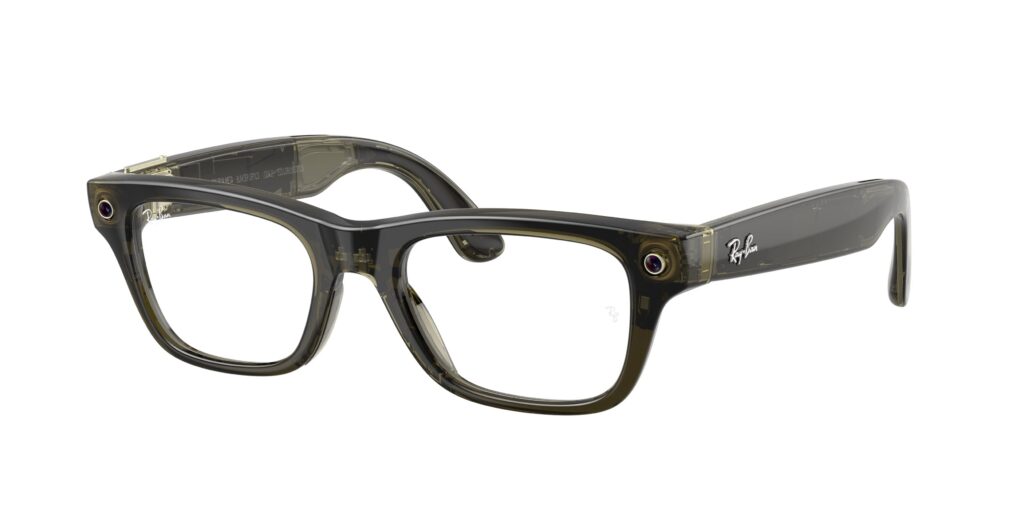 Wayfarer-style translucent dark glasses with a Ray-Ban logo on the temple, shown from a close-up side view